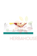 Obrázok pre Nobilis Immuno Sušené jablkové lupienky so zázvorom (25g)